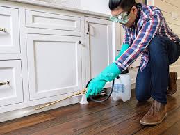 Best Pest Prevention Services  in Hickman, NE